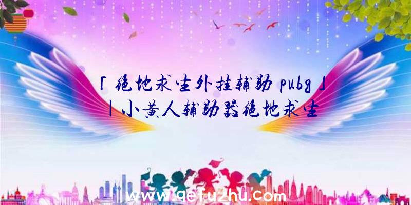 「绝地求生外挂辅助